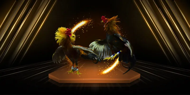 Giao diện sảnh game đấu gà trực tuyến trên MMLIVE